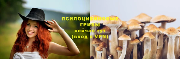 гидра Алексин